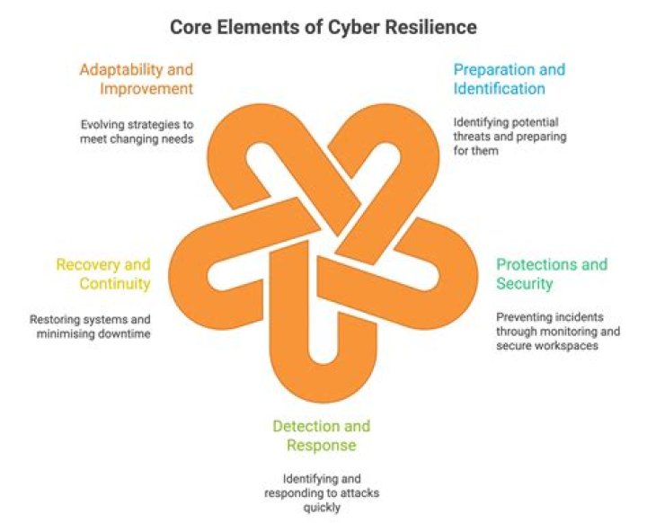 A Journey Of Resilience And Insights