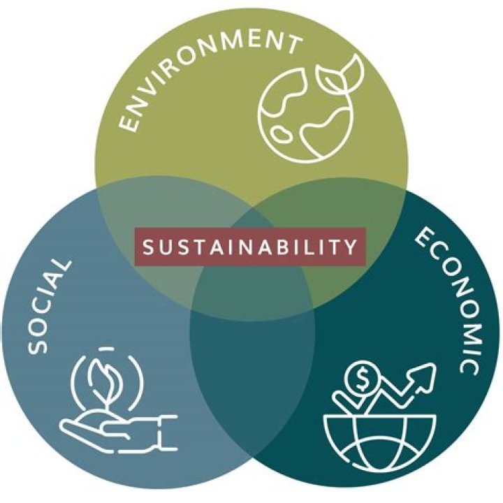 A Journey Of Style, Sustainability, And Social Impact