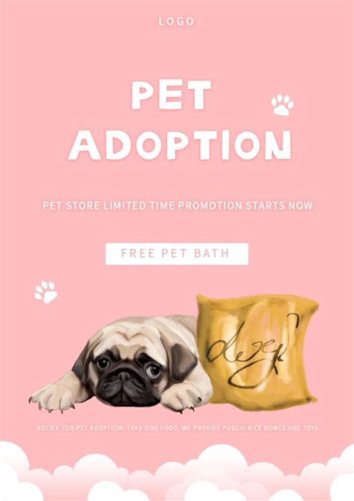 Adopt Your Furry Friend: Pink Dog Rescue