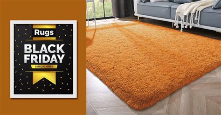 Black Friday Rugs Bonanza: Unbelievable Savings!
