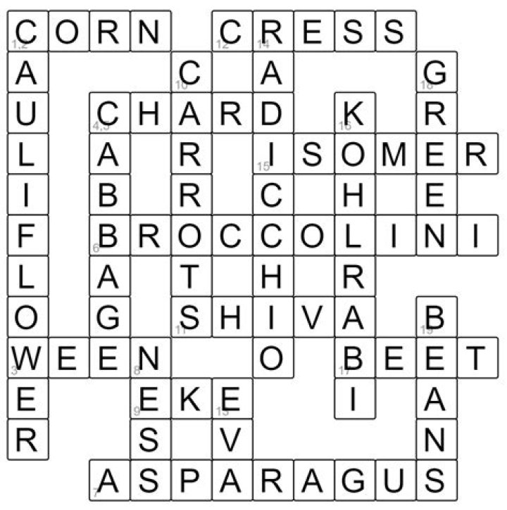 Crossword Puzzle Perfection: Resolve 