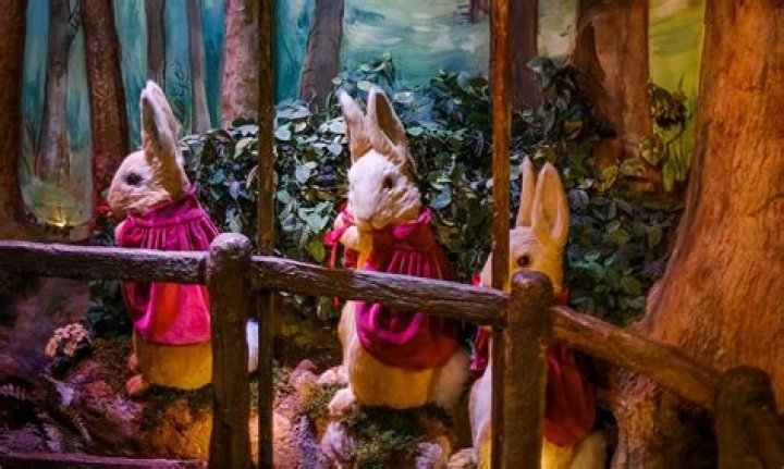 Discover The Enchanting World Of Aubereigh