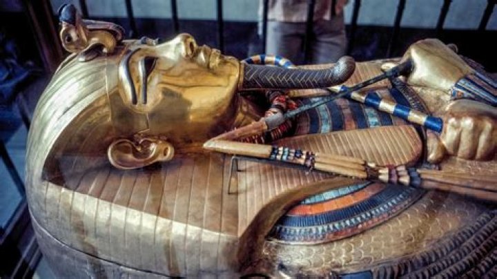 Discover The Origins Of Bellingham's Mother
