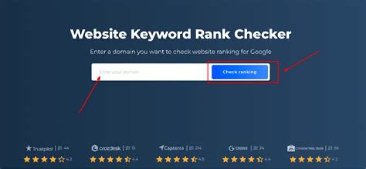 Discover Your Website's Google Ranking With Our Cutting-Edge Ranking Checker