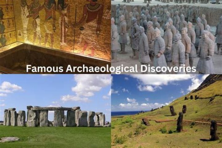 Discoveries And Insights For The WMTJAJA1 Niche