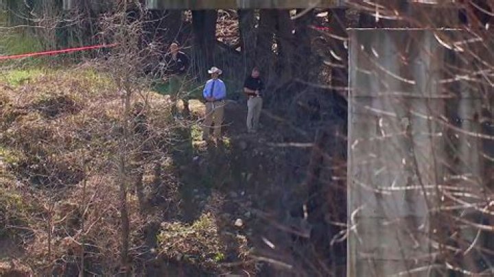 Gruesome Discovery: Deceased Individual Found Lifeless On Major Freeway