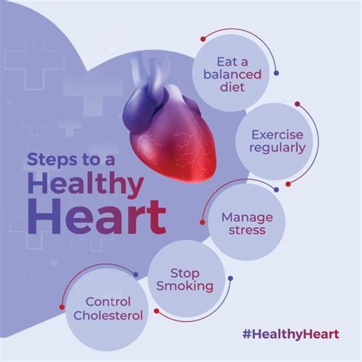 Heart-Healthy Habits: The Essential Guide To A Healthy Heart