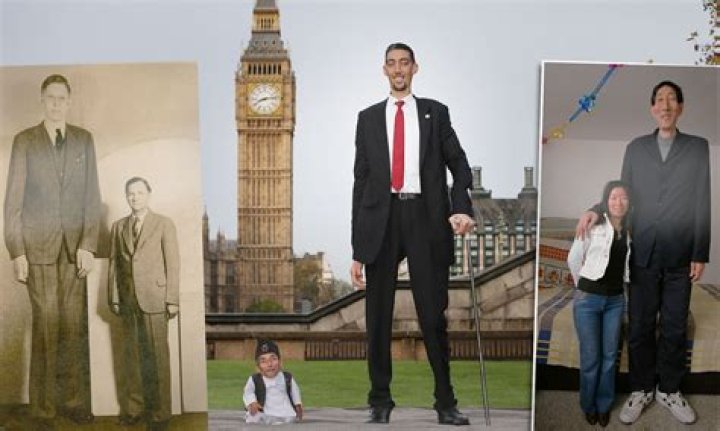 How Tall Was The Icon?