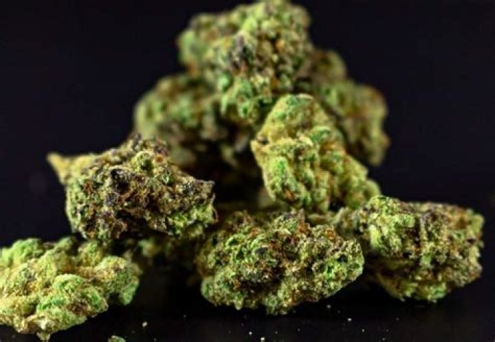 Jupiter Strain: The Green Masterpiece