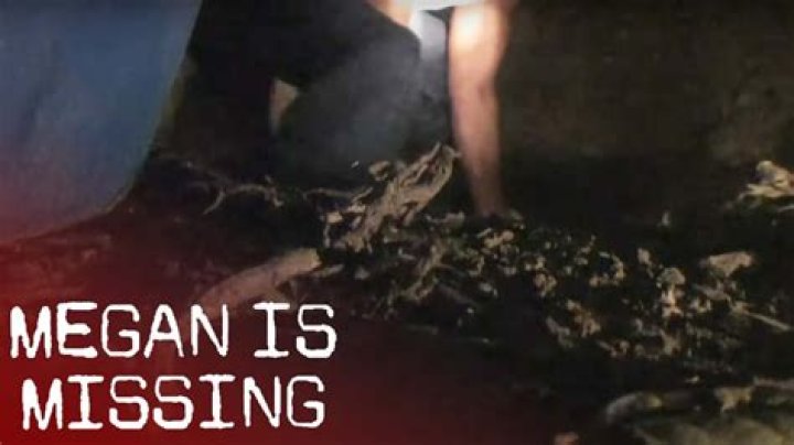 Megan Is Missing Images: An In-Depth Exploration