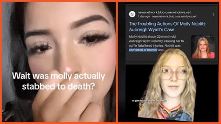 Molly Noblitt's Tragic End: Stabbing Victim's Story