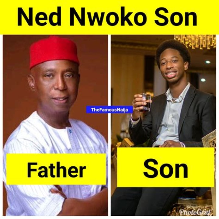 Ned Nwoko's Age: Facts And Figures