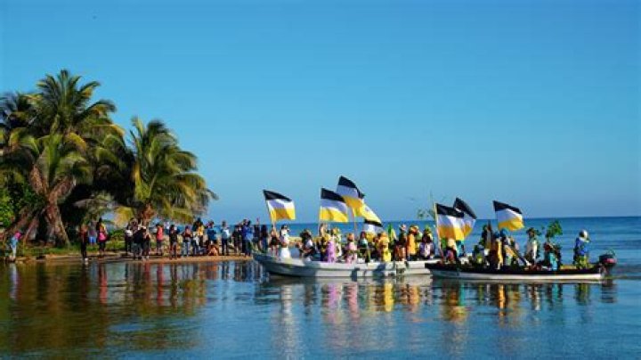 The Optimal Season For Manatee Encounters In Belize: A Guide To Peak Viewing Times