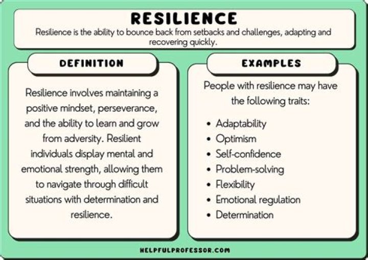 The True Definition Of Resilience And Perseverance