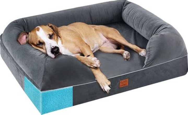 The Ultimate Comfort: Bolster Dog Beds Designed For Large Canine Companions