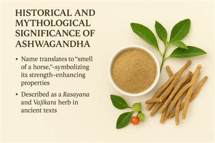 The Ultimate Guide To Yamal Roots: Benefits, Uses, And Dosage