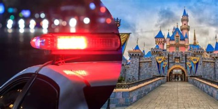 Today's Tragic Disney Accident: Injuries And Closures