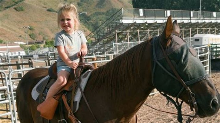 Tragic Horse And Buggy Accident Yesterday: A Community Mourns