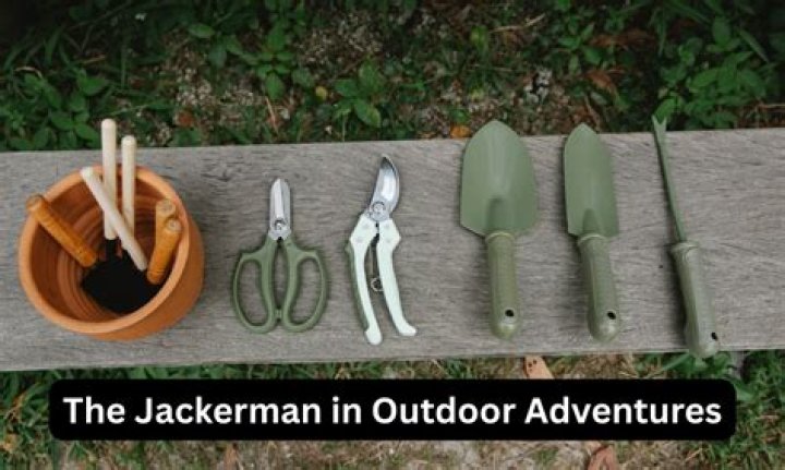 Unveiling The Mystery Of Jackerman 3s: A Comprehensive Guide