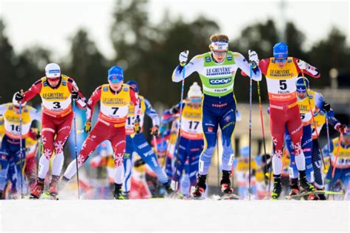 Unveiling The Secrets Of Cross-Country Skiing Star Iwona Lewandowska
