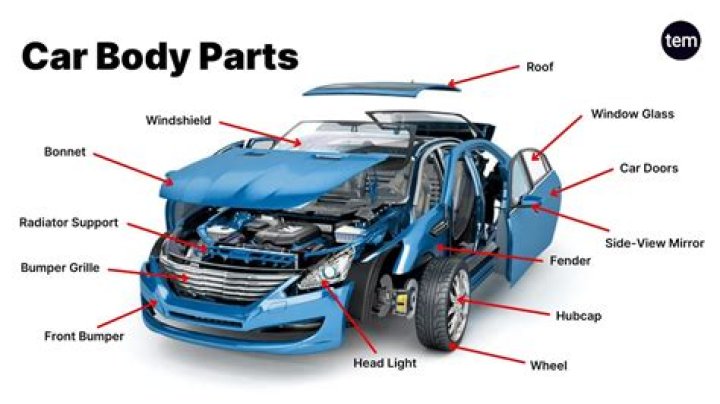 Yes, Snakes Can Get Inside Your Car: What You Need To Watch For
